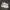 Vintage Casual Sneakers Wanita white photo 1