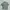 Pendleton Streetwear Avant Garde Casual shirt Pria green photo 6