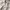 Maison Kitsuné Vintage Luxury Sweatshirt Pria white photo 3
