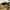 Beverly Hills Polo Club Casual Hat Pria brown photo 2