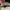 Nike Streetwear Casual Sneakers Pria multicolor photo 6