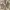 Nike Streetwear Casual Sneakers Pria multicolor photo 5