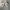 Nike Streetwear Sandals & slide Pria cream photo 3