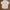 Yves Saint Laurent YSL Casual Sweatshirt Pria White Tan