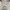 Yves Saint Laurent YSL Casual Sweatshirt Pria white tan photo 4