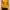 Love Bonito Casual Cami top Wanita yellow photo 1