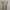 ZARA Casual Cami top Wanita khaki photo 4