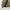 Vintage Casual Puffer jacket Pria green photo 5