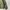 Vintage Casual Puffer jacket Pria green photo 4