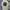 Kangol Casual T-shirt Pria multicolor photo 2
