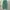 Made in USA Fairy Indie Legging Wanita green photo 4