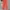 Balenciaga Avant Garde Casual Wanita orange photo 5