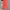 Balenciaga Avant Garde Casual Wanita orange photo 1