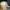 Reebok Vintage Casual Hat Pria white photo 4
