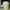 Reebok Vintage Casual Hat Pria White