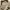 8seconds Streetwear Casual Casual shirt Pria tan photo 6
