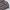 J.Crew Vintage Y2K Sweater Pria Multicolor