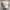 Vintage Y2K Crop top Wanita white photo 1