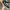 VANS Streetwear Skater Casual shoe Pria white black photo 2