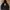 Obey Casual Hoody Pria black photo 1