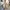 Vintage Casual Parka Pria tan cream photo 4