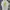 Chinatown Market Casual T-shirt Pria white photo 2