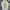 Chinatown Market Casual T-shirt Pria White
