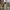 Vintage Y2K Track jacket Pria tan brown photo 4