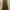 Levi's Vintage Streetwear Jeans Pria brown photo 4