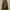 Levi's Vintage Streetwear Jeans Pria brown photo 3