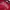 MLB Vintage Streetwear Bomber jacket Pria red photo 4