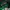 Zoo York Streetwear Skater Hat Pria green navy photo 5