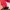 Y2K Goth Sweatshirt Wanita red photo 4