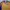 Adidas Vintage Sportswear Jersey Pria blue yellow photo 5