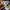 Adidas Vintage Sportswear Jersey Pria blue yellow photo 3