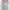 Adidas Sportswear Jersey Wanita gray photo 1