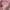 Longchamp Luxury Casual Tote bag Wanita white pink photo 4