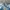 Adidas Indie Casual Sneakers Pria tan blue photo 3
