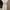 Shein Coquette Casual Midi dress Wanita white photo 5