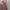 New Look Cottagecore Casual Maxi Dress Wanita Pink