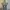 Luxury Prom dress Wanita gray photo 4
