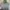 Luxury Prom dress Wanita gray photo 2