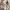Pomelo Goth Casual Midi dress Wanita white red photo 4