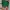 Shein Luxury Casual Mini skirt Wanita green photo 1