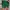 Shein Luxury Casual Mini Skirt Wanita Green