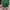 Shein Luxury Casual Mini skirt Wanita green photo 2