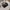 H&M Casual Sweatshirt Wanita black photo 1