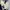 Poshboy Vintage Casual Leather jacket Pria white blue photo 7