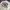 Streetwear Y2K Bomber jacket Pria white photo 2