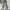 Streetwear Sportswear Casual pants Pria green photo 1